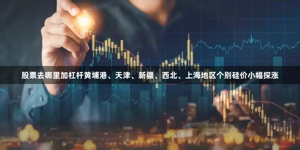 股票去哪里加杠杆黄埔港、天津、新疆、西北、上海地区个别硅价小幅探涨