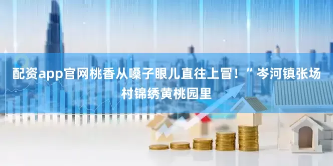 配资app官网桃香从嗓子眼儿直往上冒！”岑河镇张场村锦绣黄桃园里