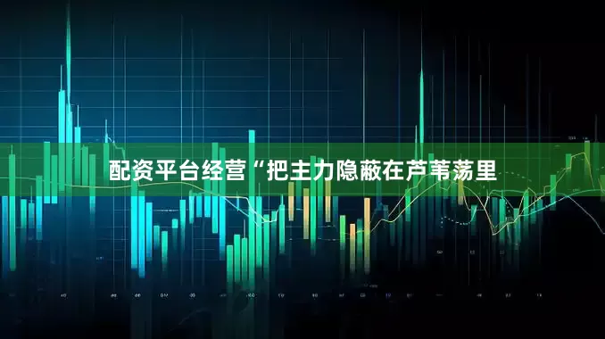 配资平台经营“把主力隐蔽在芦苇荡里