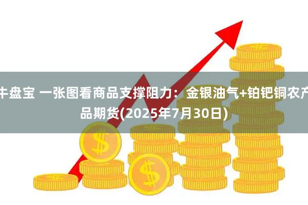 牛盘宝 一张图看商品支撑阻力：金银油气+铂钯铜农产品期货(2025年7月30日)