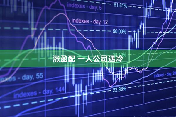 涨盈配 一人公司遇冷
