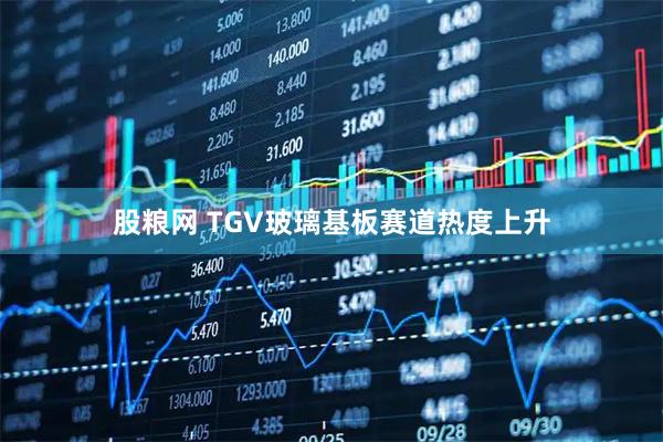 股粮网 TGV玻璃基板赛道热度上升